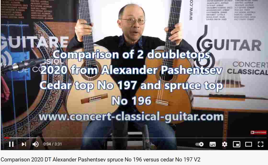 Classical concert guitar