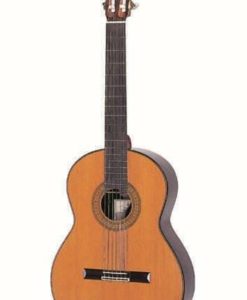 Dieter Hopf grande furioso portentosa classical guitar luthier