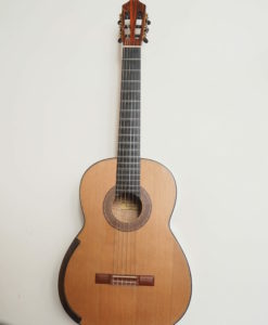 Greg Smallman classical lattice guitar 2005