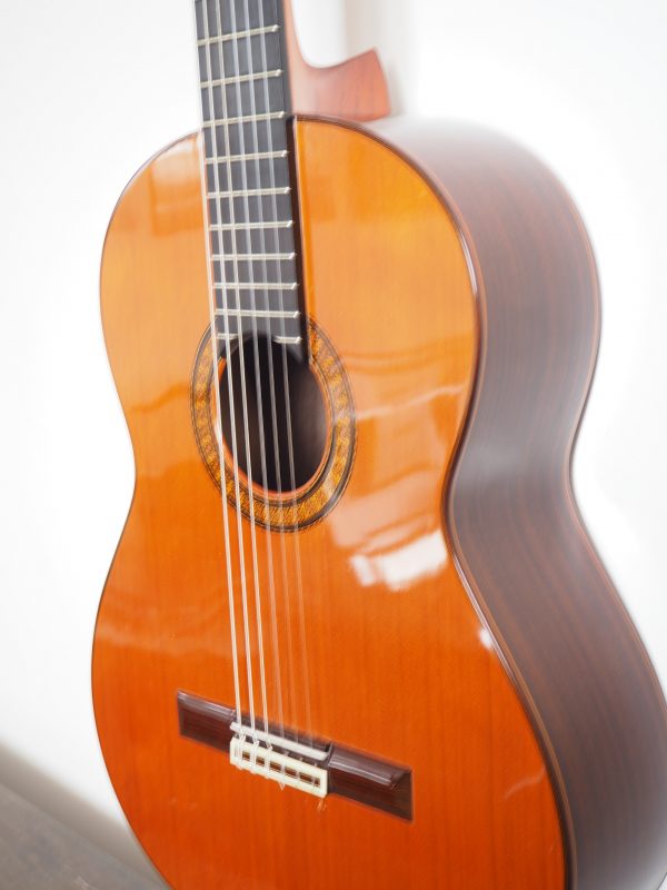 Classical concert guitar