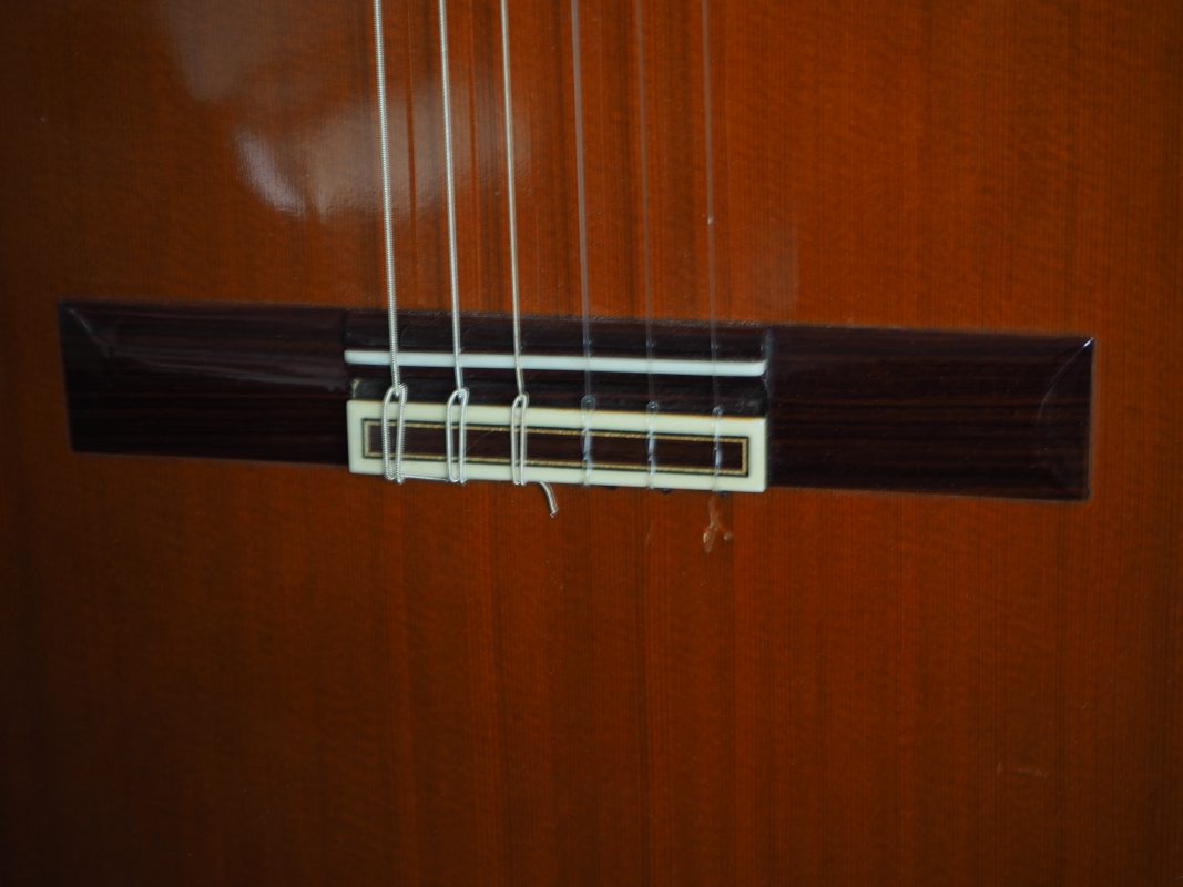 Classical concert guitar