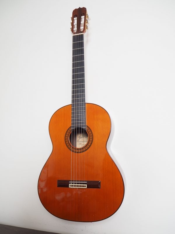 Classical concert guitar
