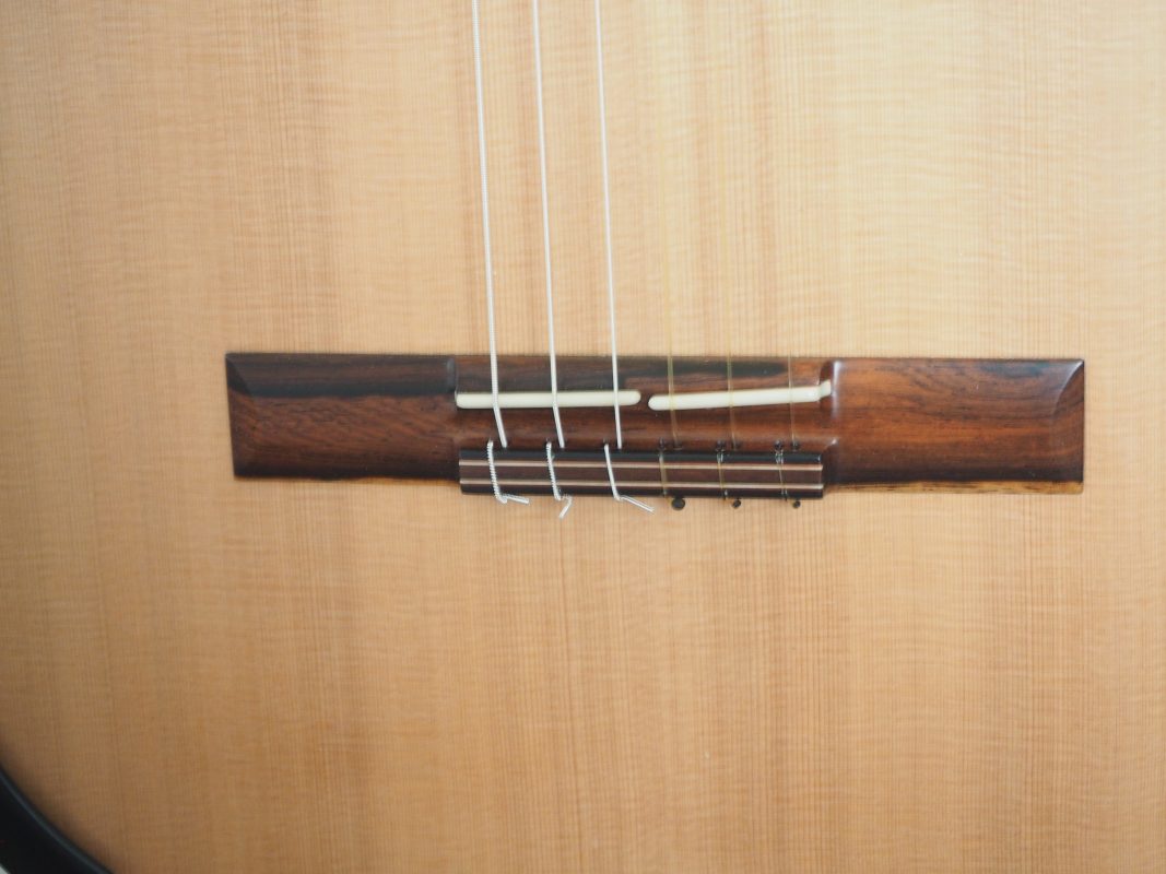 Classical concert guitar
