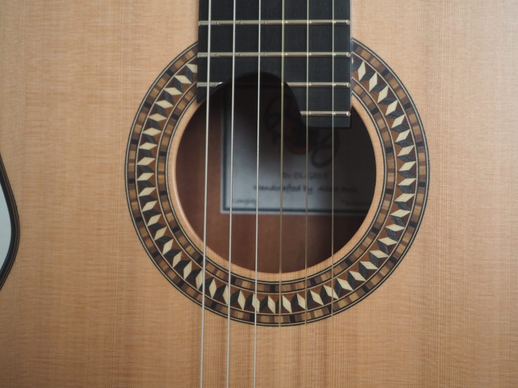 Classical concert guitar
