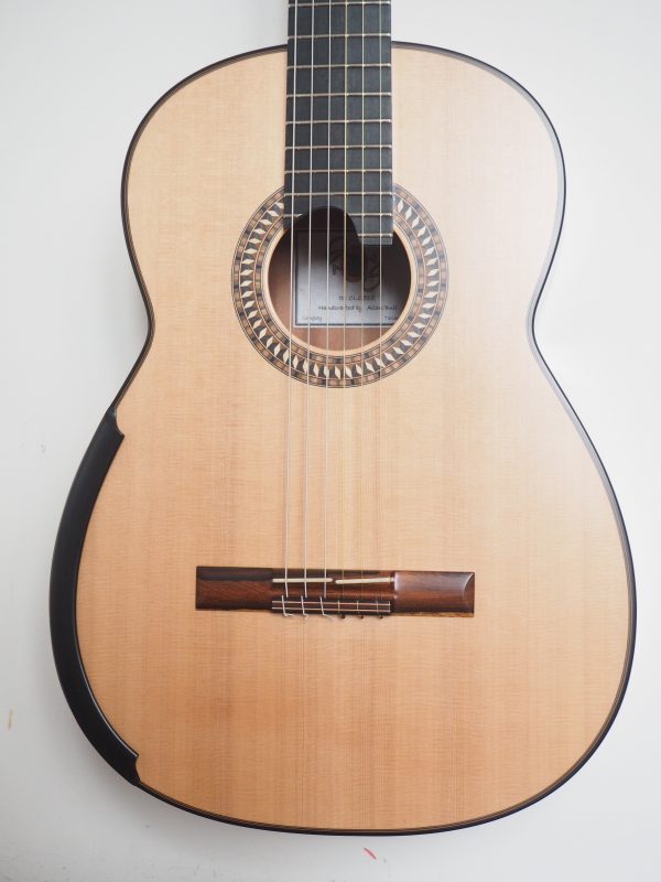 Classical concert guitar
