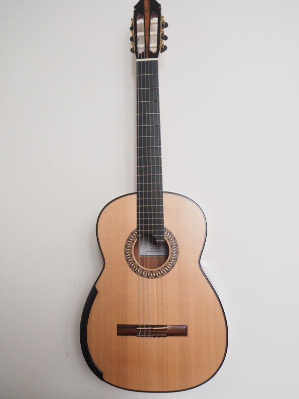 Classical concert guitar