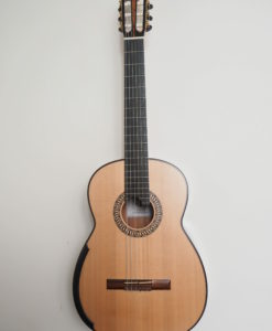 Allan Bull classical guitar luthier lattice