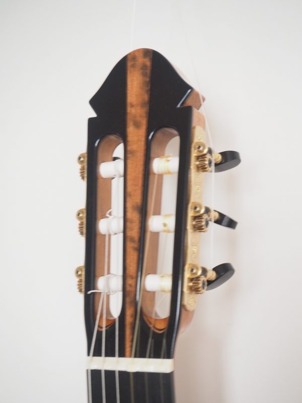 Classical concert guitar