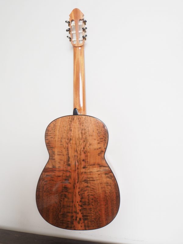 Classical concert guitar