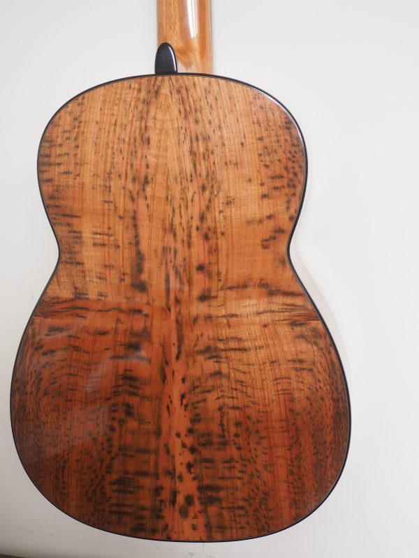 Classical concert guitar
