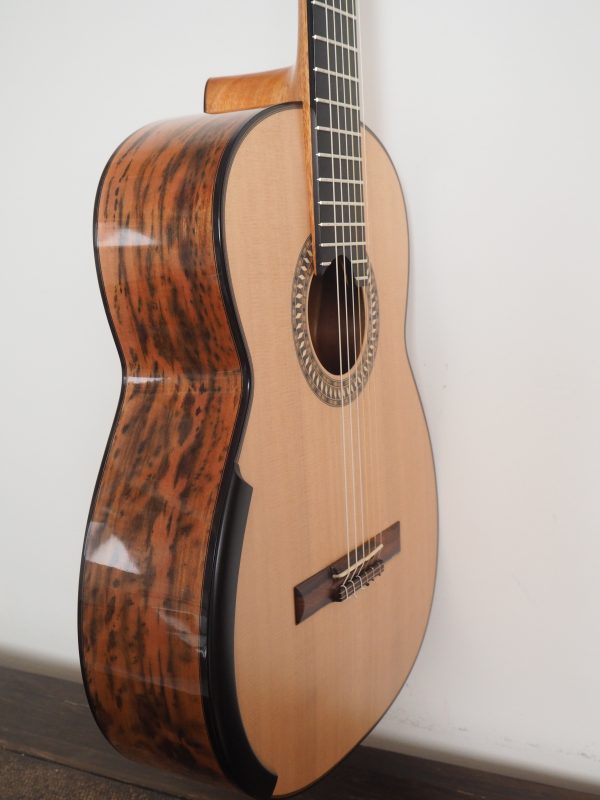 Classical concert guitar
