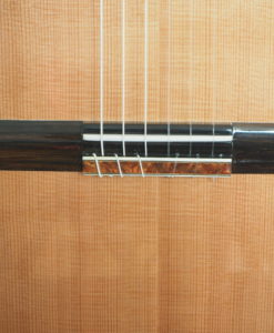 Régis Sala classical guitar model lattice Australe