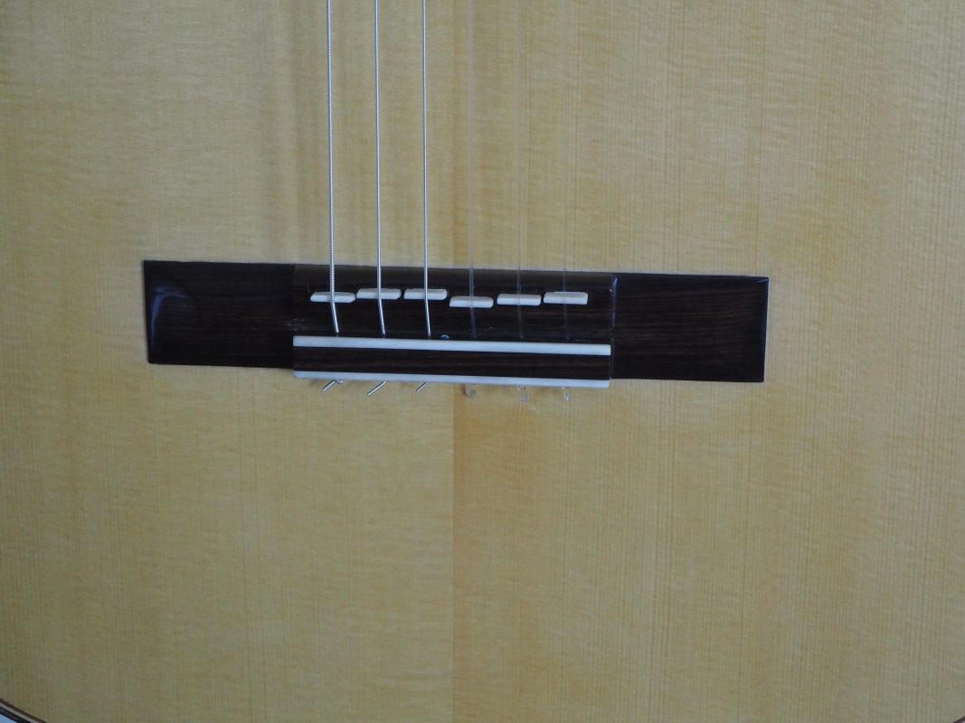 Classical concert guitar