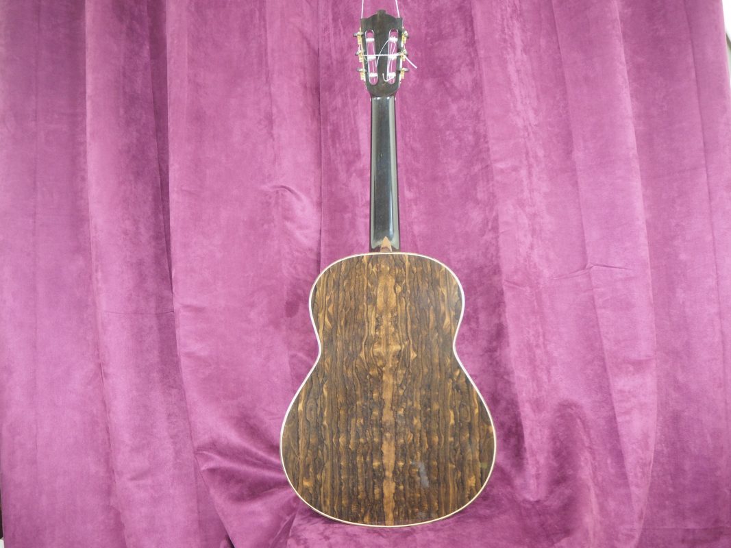 Classical concert guitar