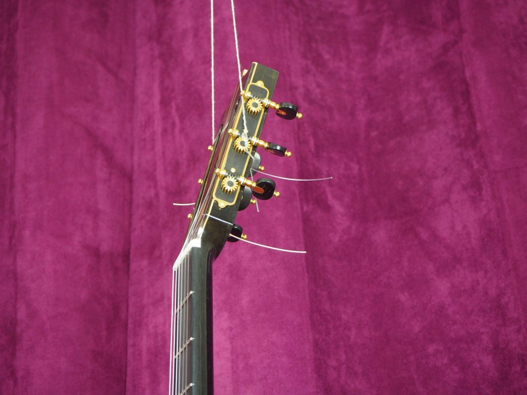 Classical concert guitar