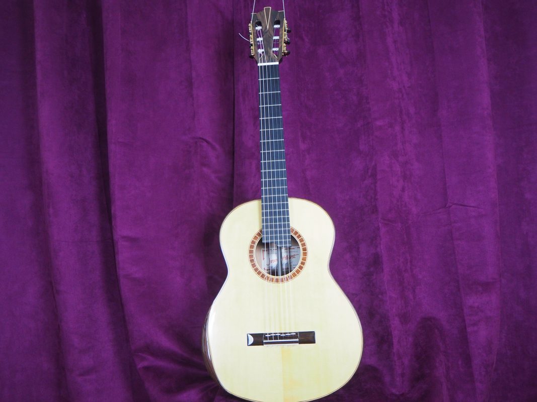Classical concert guitar