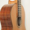 Dake Traghagen classical guitar luthier double-top