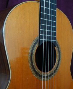 Daniel Friederich classical guitar luthier