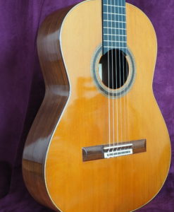 Daniel Friederich classical guitar luthier