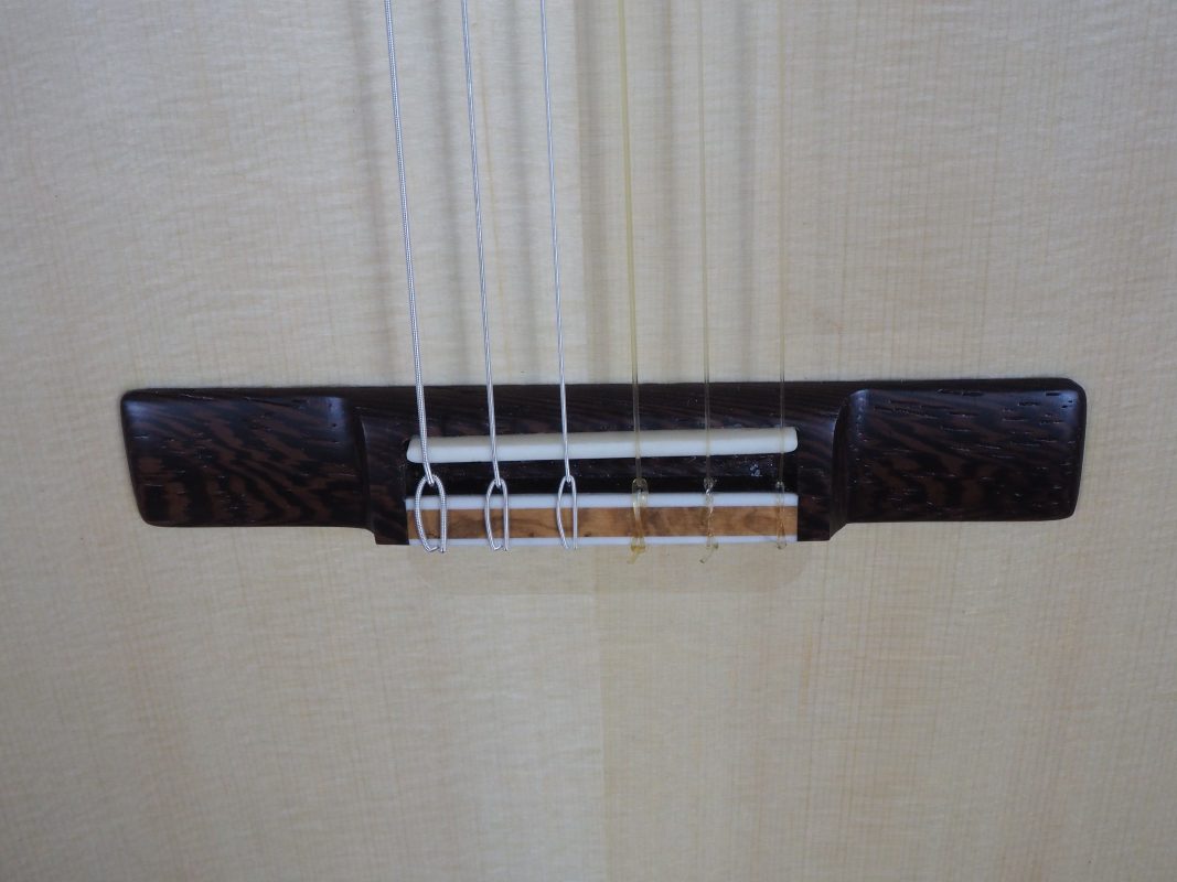 Classical concert guitar
