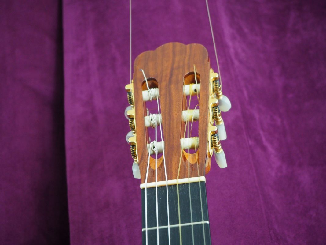 Classical concert guitar