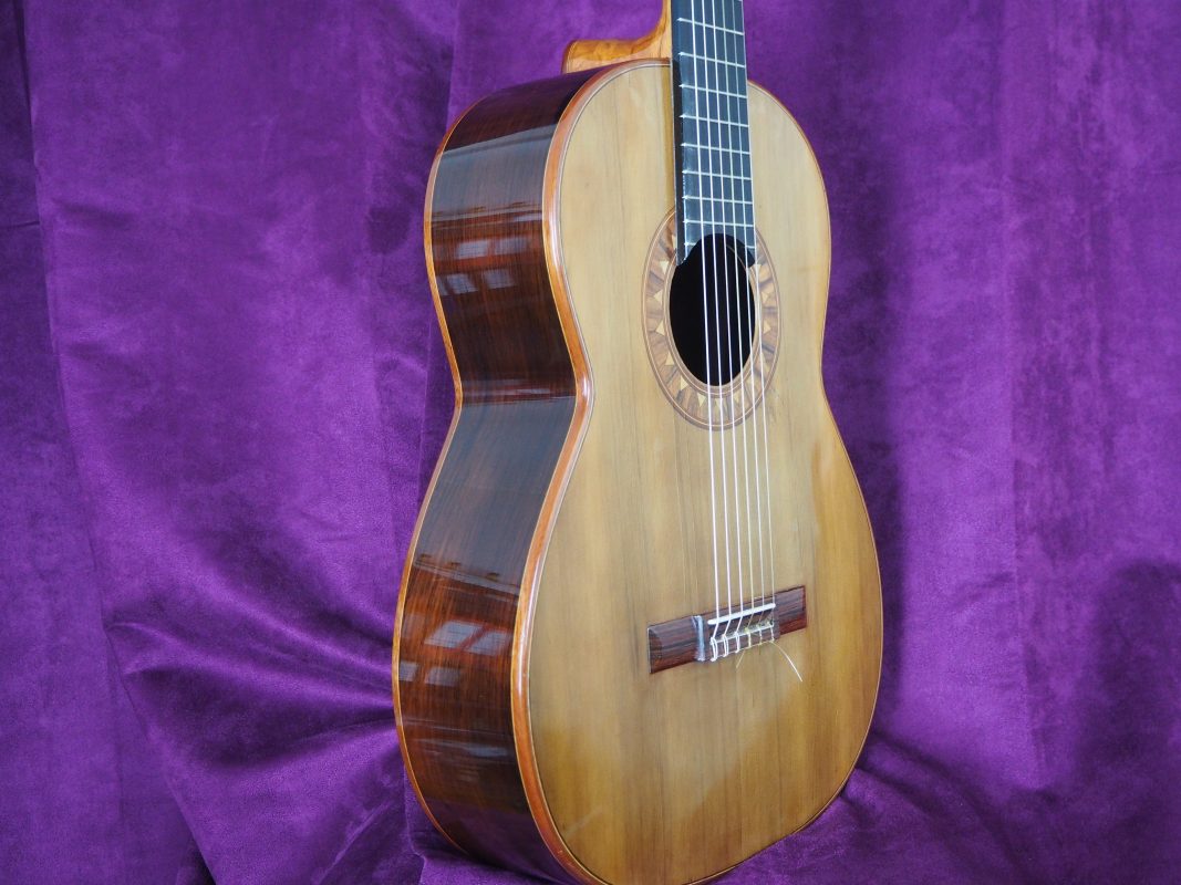 Classical concert guitar