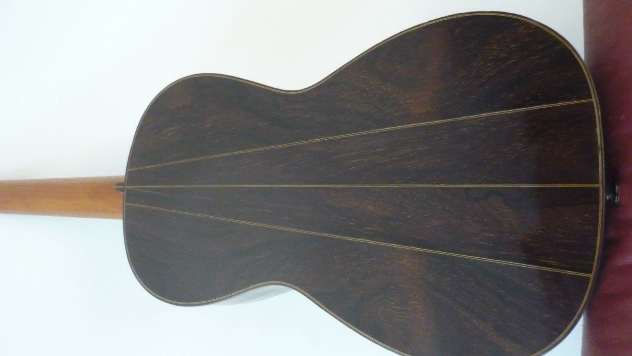 Classical concert guitar