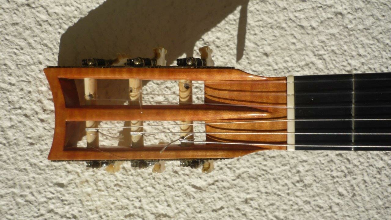 Classical concert guitar