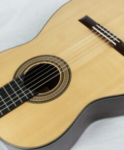 Perry Guitars Concert 2026 No 267 - Canada - Image 7