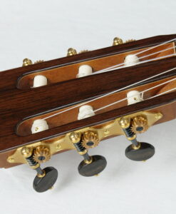 Perry Guitars Concert 2026 No 267 - Canada - Image 6