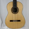 Perry Guitars Concert 2026 No 267 - Canada