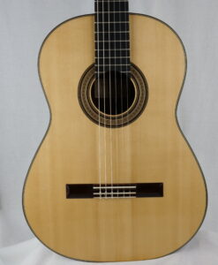 Perry Guitars Concert 2026 No 267 - Canada