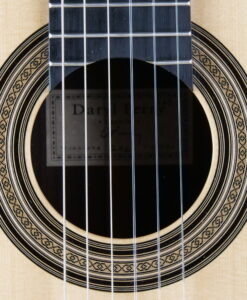 Perry Guitars Concert 2026 No 267 - Canada - Image 5