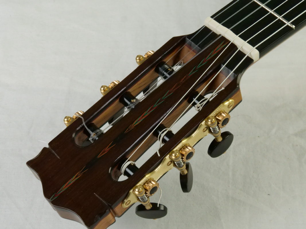 Classical concert guitar