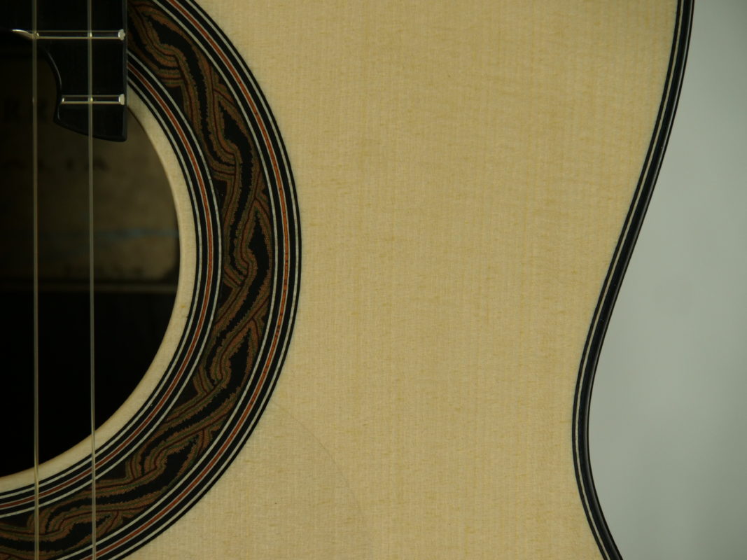 Classical concert guitar