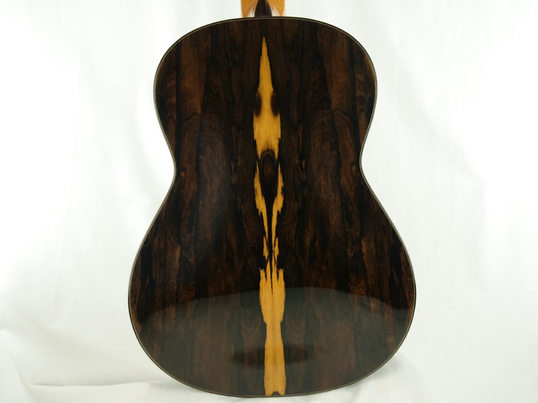 Classical concert guitar