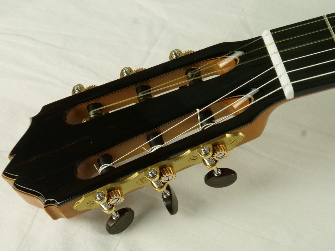 Classical concert guitar