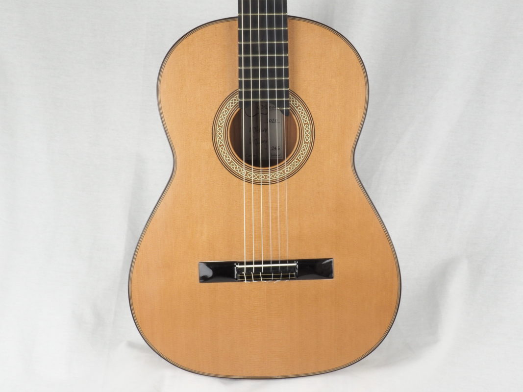 Classical concert guitar
