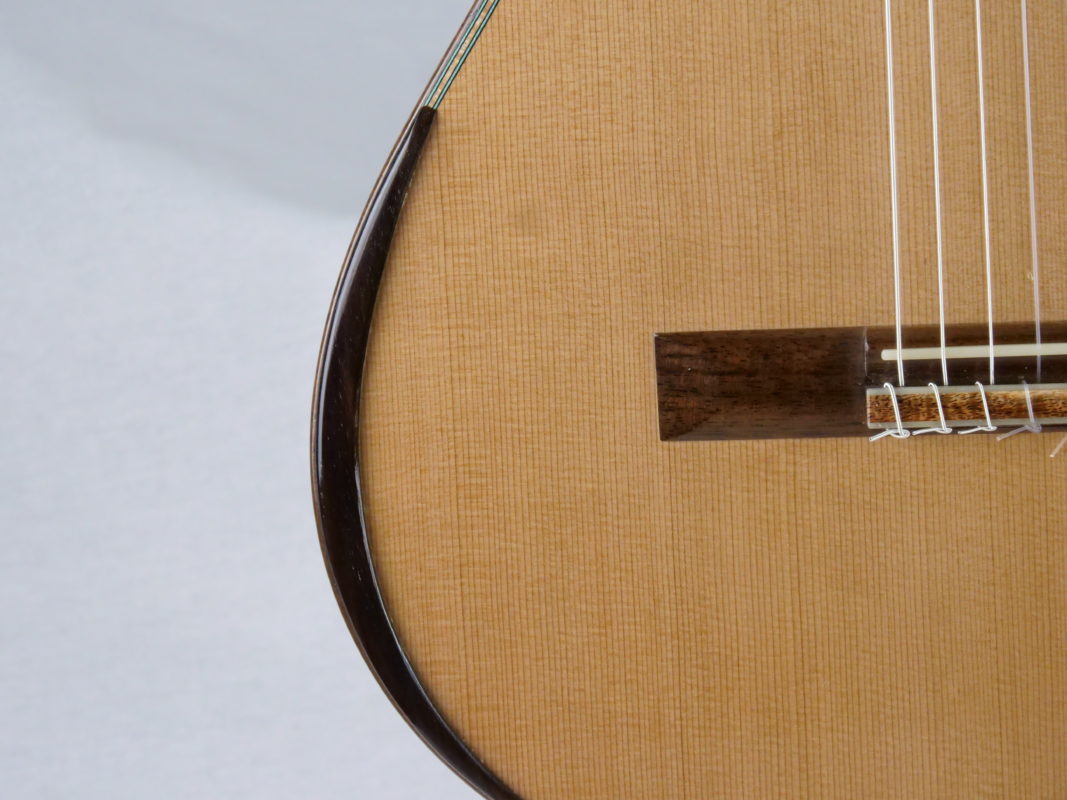 Classical concert guitar