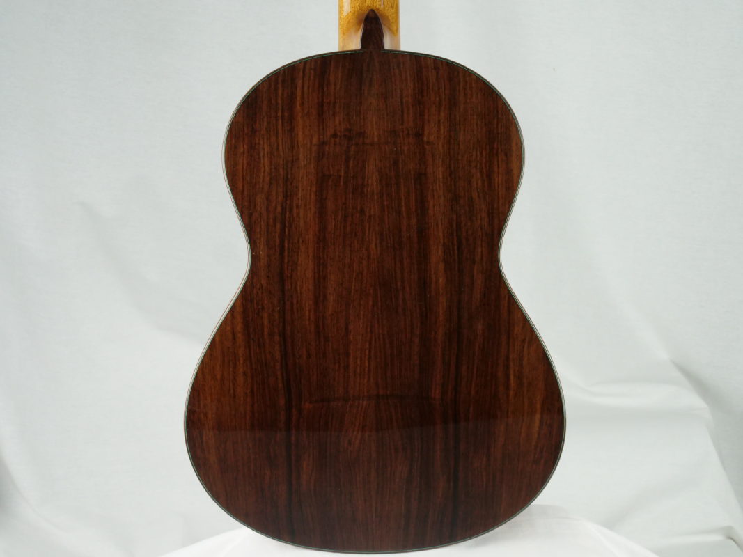 Classical concert guitar