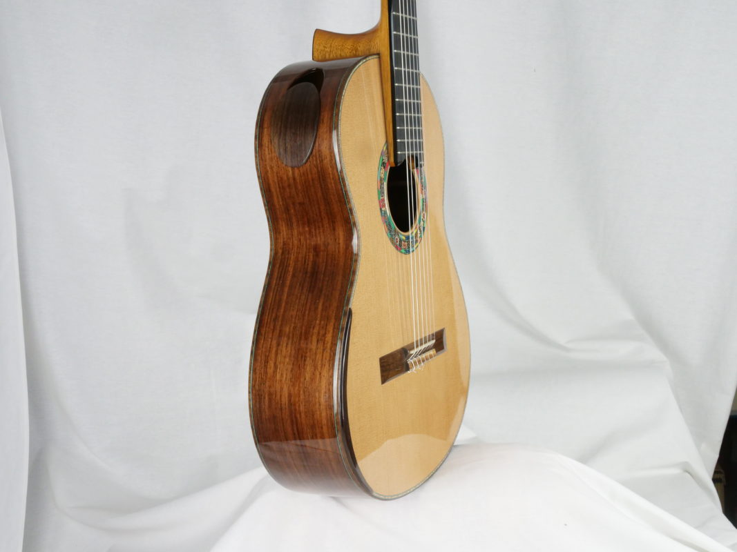 Classical concert guitar