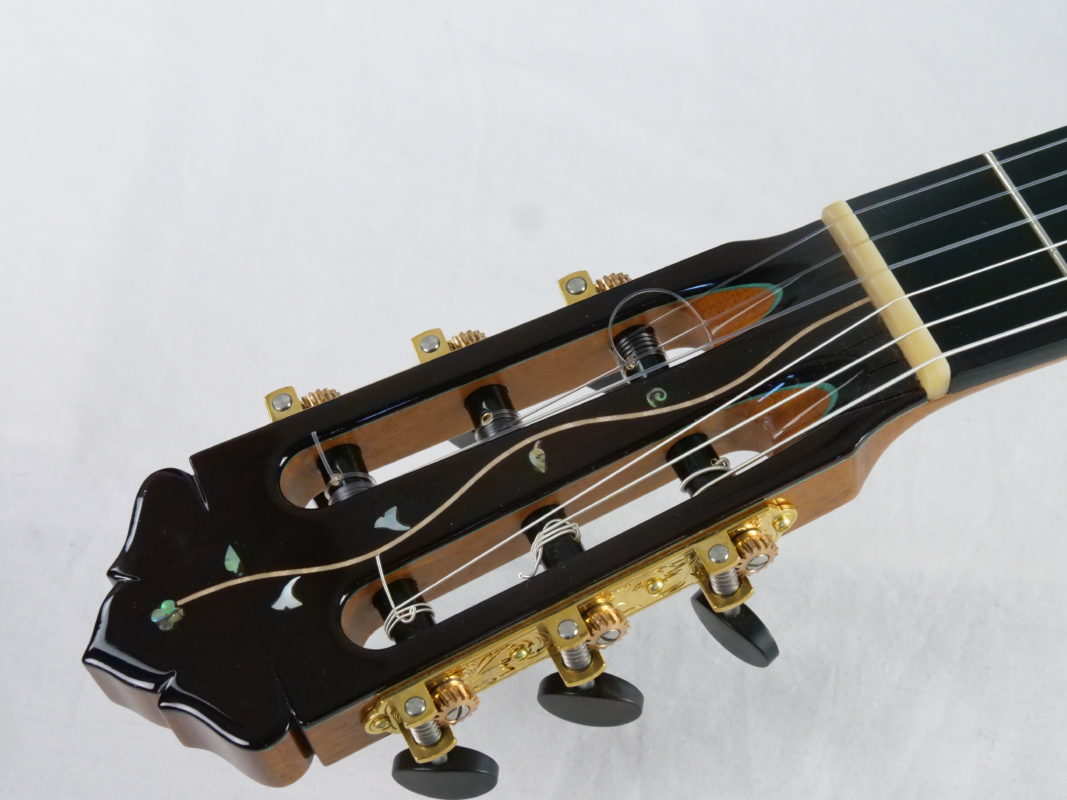Classical concert guitar