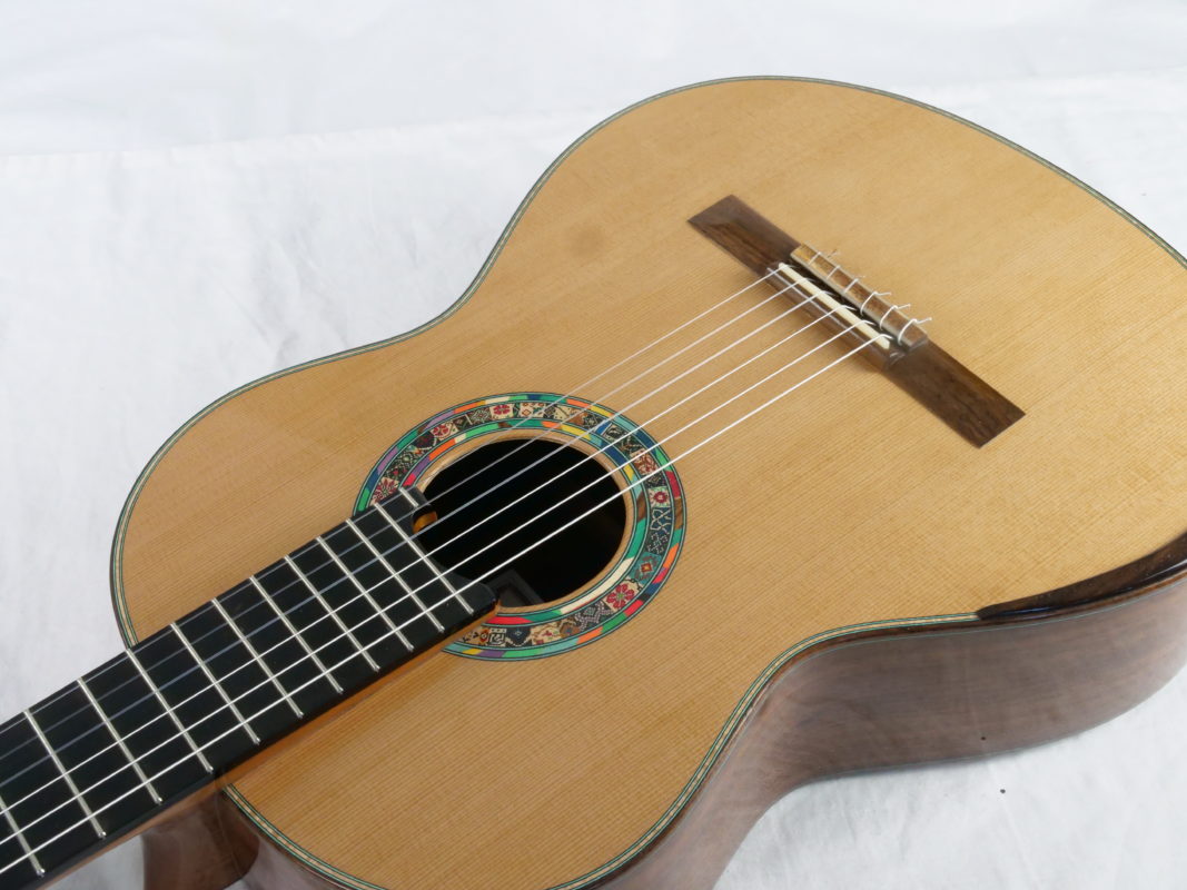 Classical concert guitar
