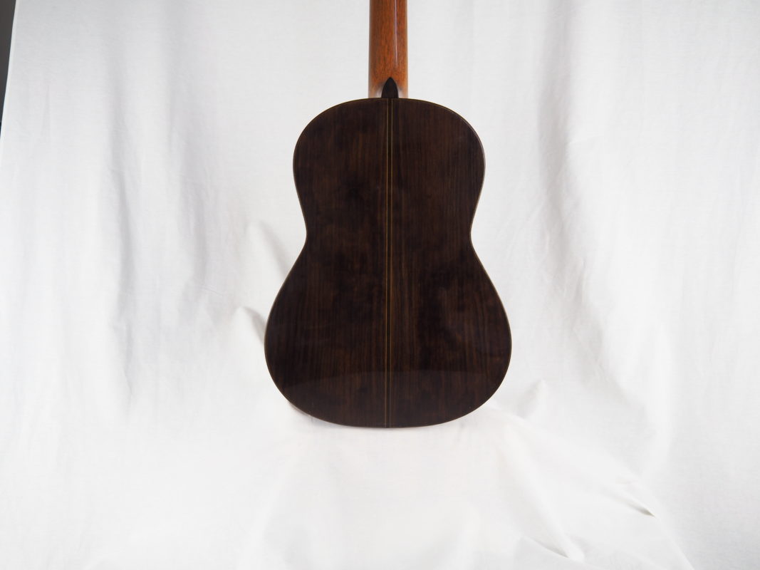 Classical concert guitar