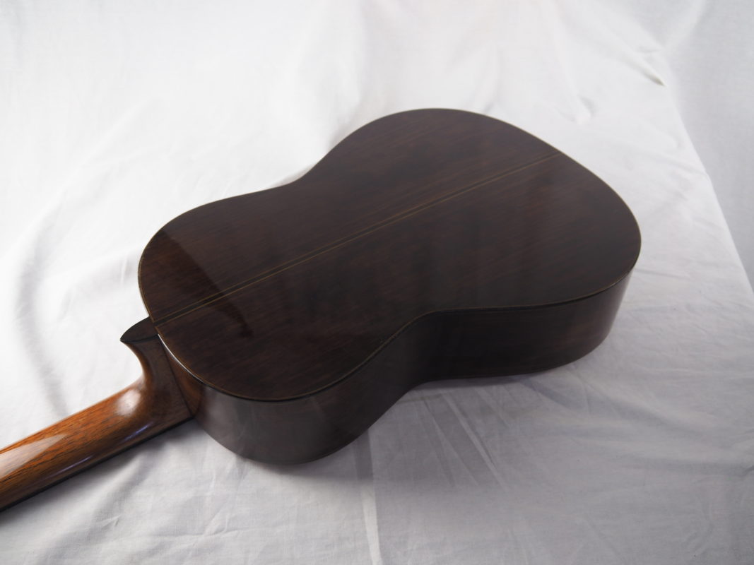 Classical concert guitar