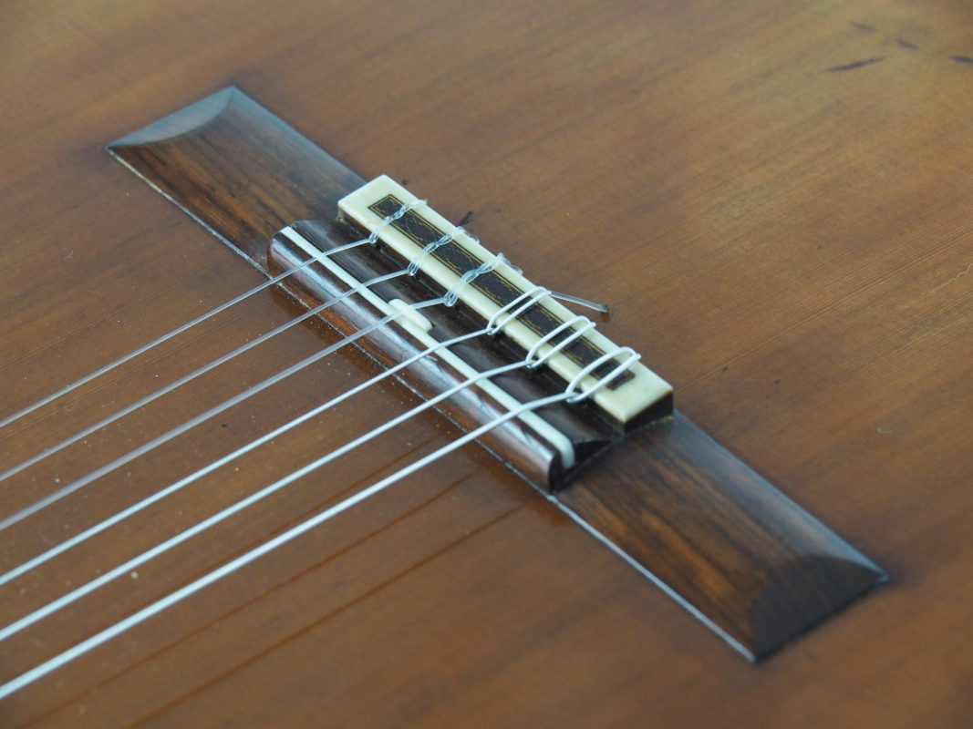 Classical concert guitar