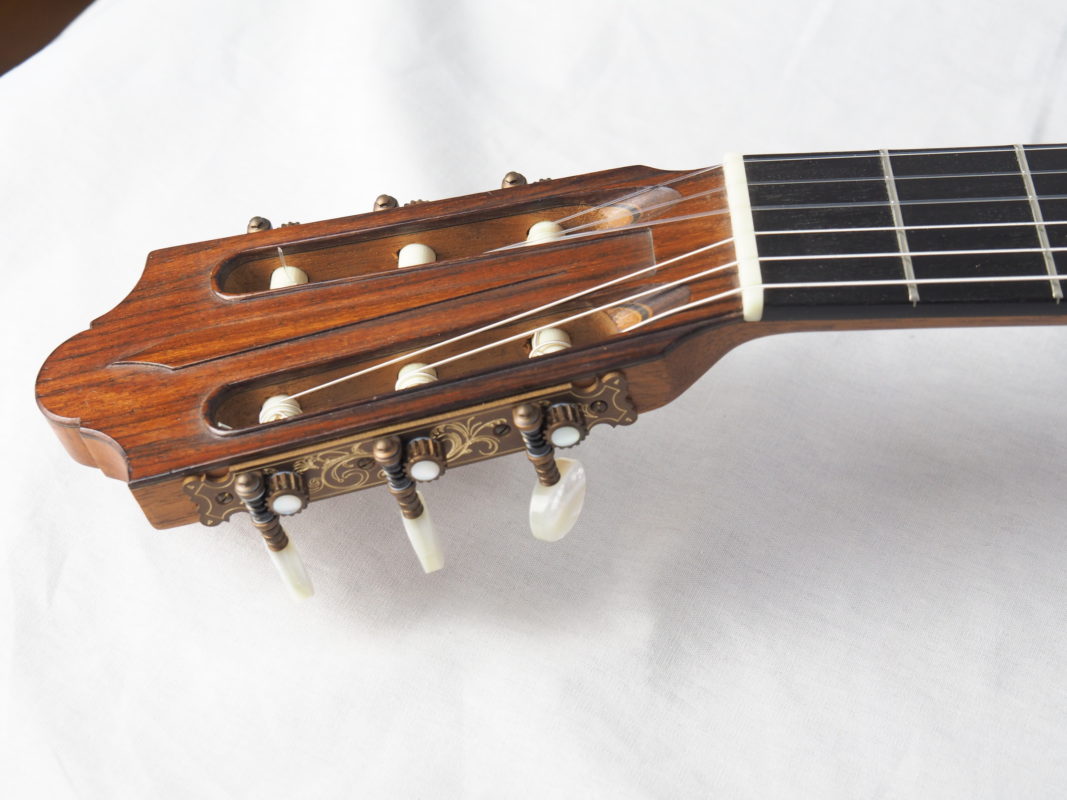 Classical concert guitar