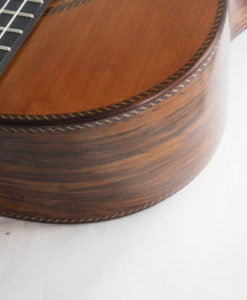 Luthier Dieter Hopf classical guitar Portentosa Evolucion No 5068-10