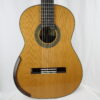 Domenic Roscioli # 248 2026 lattice - Australia