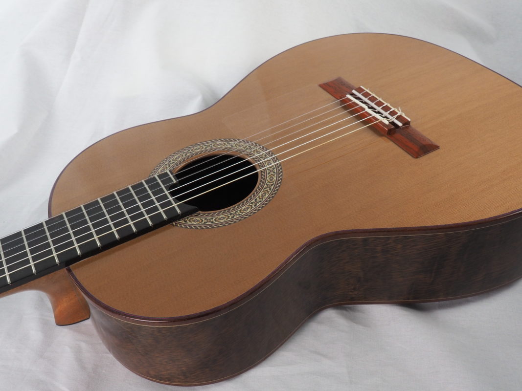 Classical concert guitar